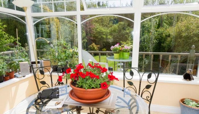 Light and airy furnished sun room with plants and flowers and view of trees in the background