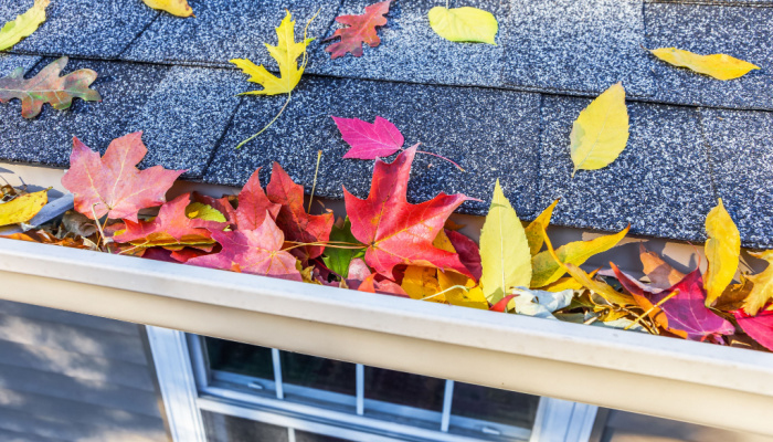 Featured image for “Fall Roof Maintenance Checklist Every Homeowner Should Know”