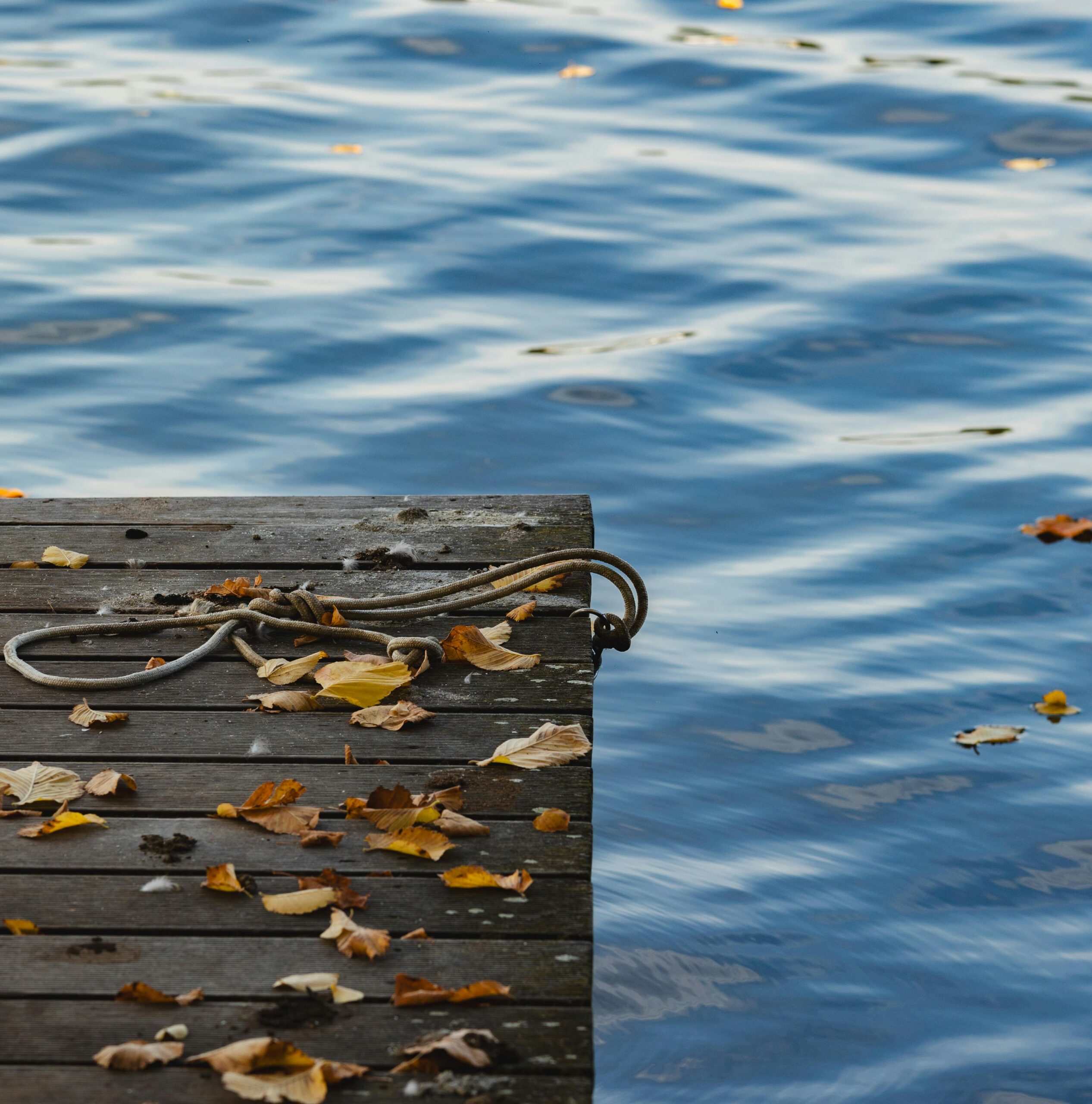 Featured image for “Jump Start for Next Season: Why Fall is the Best Time of Year to Build a Dock”